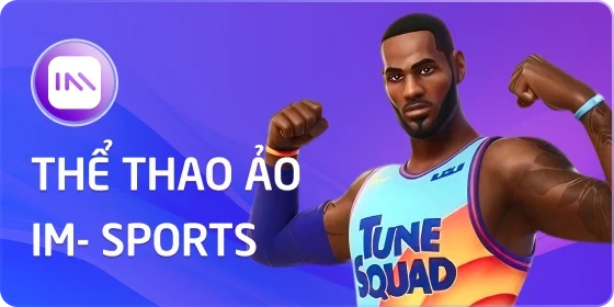 S88 the-thao-ao-im