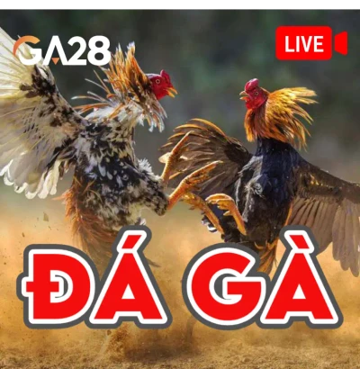 S88 Đá Gà GA28