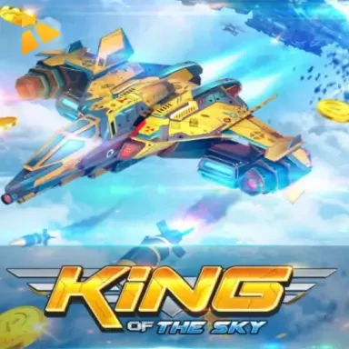 S88 King of The Sky
