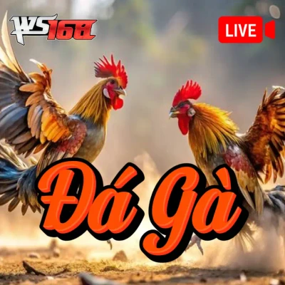 S88 Đá Gà WS168