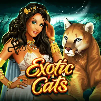 S88 Exotic Cats