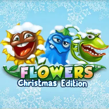 S88 Flowers Christmas Edition